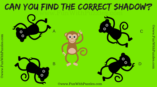 It is an easy shadow picture riddles for kids in which one has to find the correct shadow of the given puzzle image