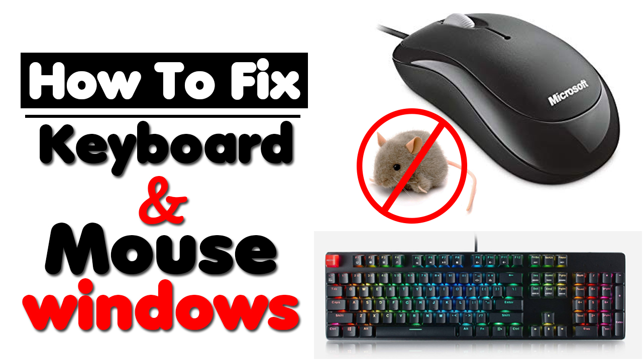 how to fix keyboard and mouse not working windows 7 8 8.1 10