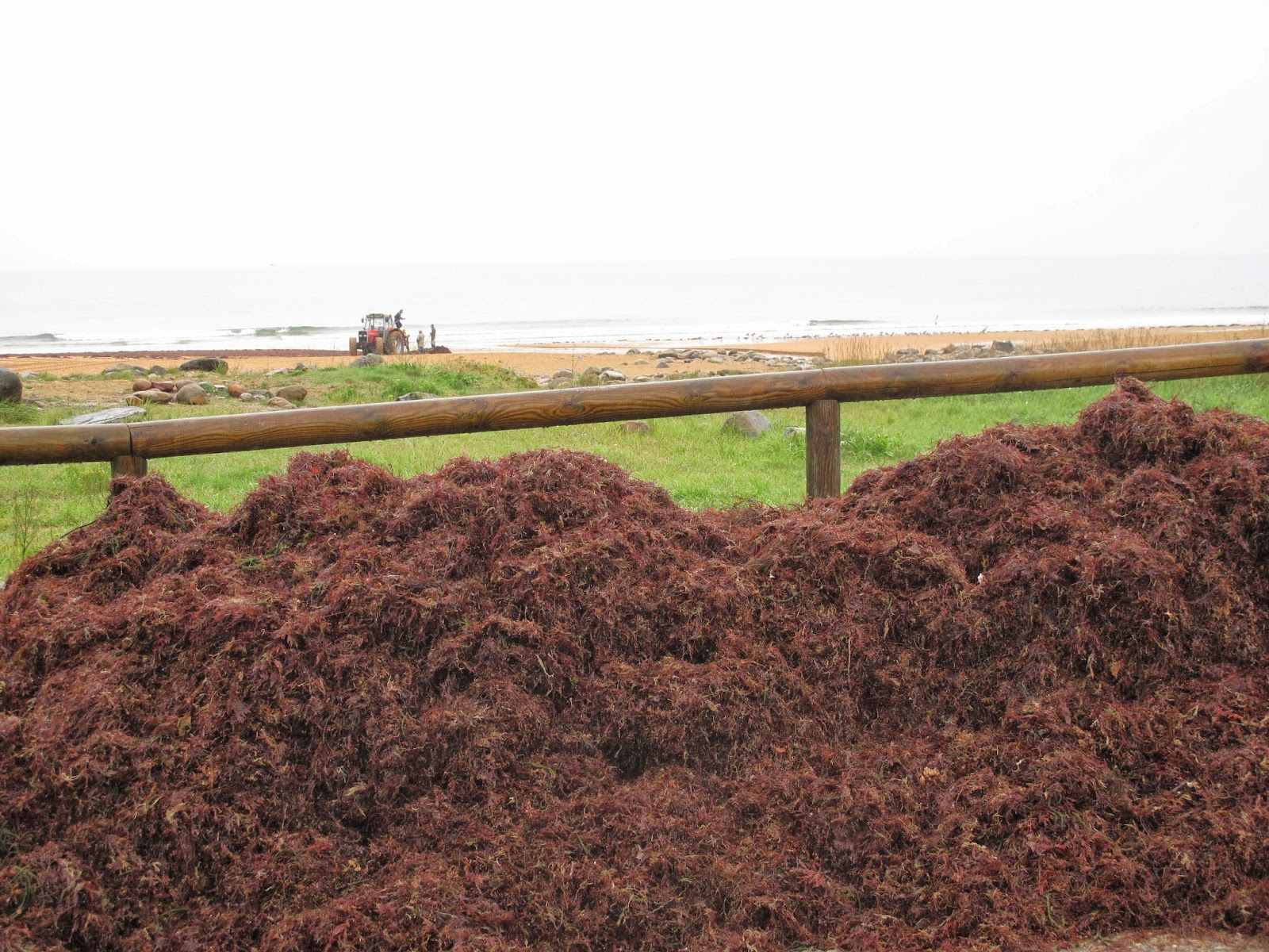QUINTES-Mirador del Cantábrico: Ocle en la Playa España