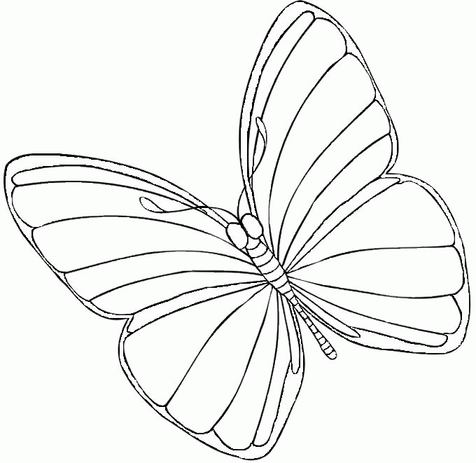 label butterfly coloring pages - photo #45