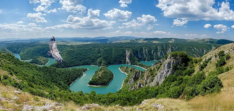 Uvac Gorge, salah satu habitat terakhir bagi burung hering griffon di Eropa.