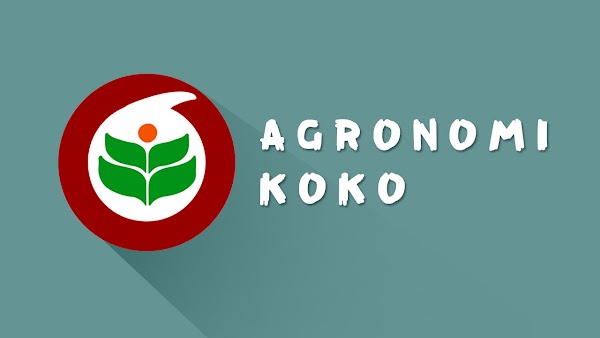 Kerja Kursus AVTC - Agronomi Koko Sem 1