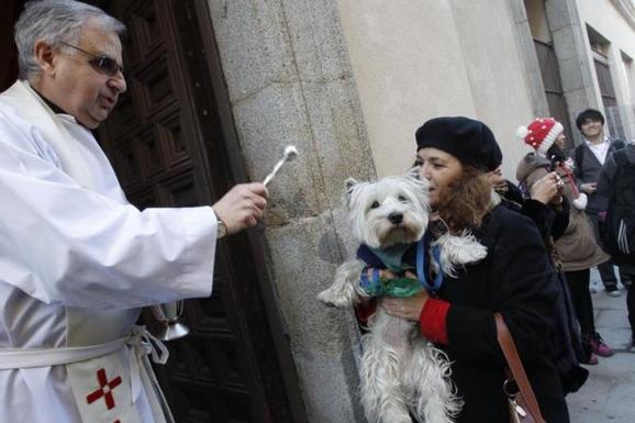 Pastor metodista bendice a un perro