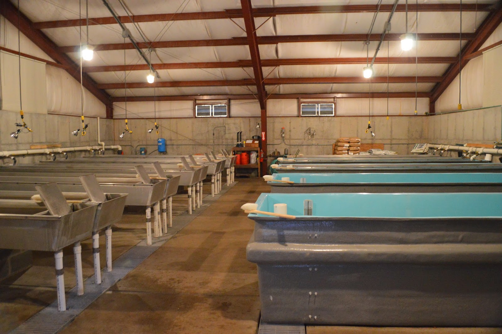 Mark Thomas Geology STERLING SPRINGS FISH HATCHERY