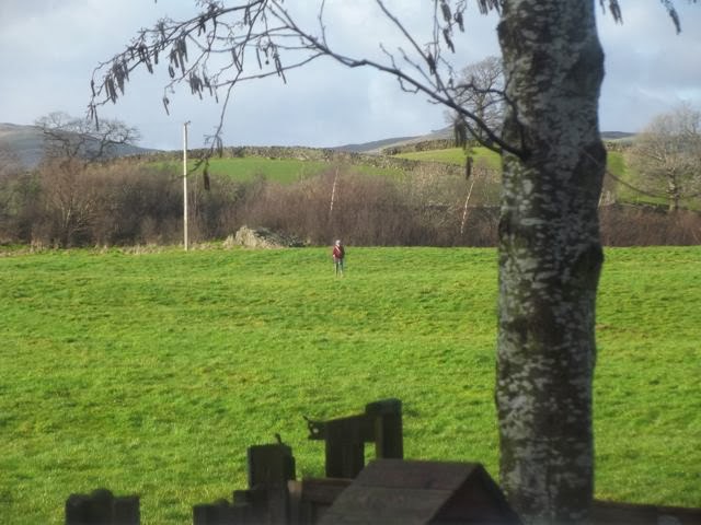 girl walking in field