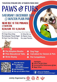 Event poster Paws & Fur