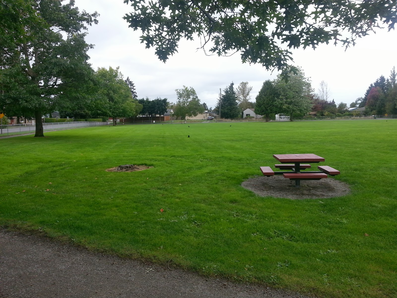 Puget Sound Parent Park Guide : Dawson Playfield