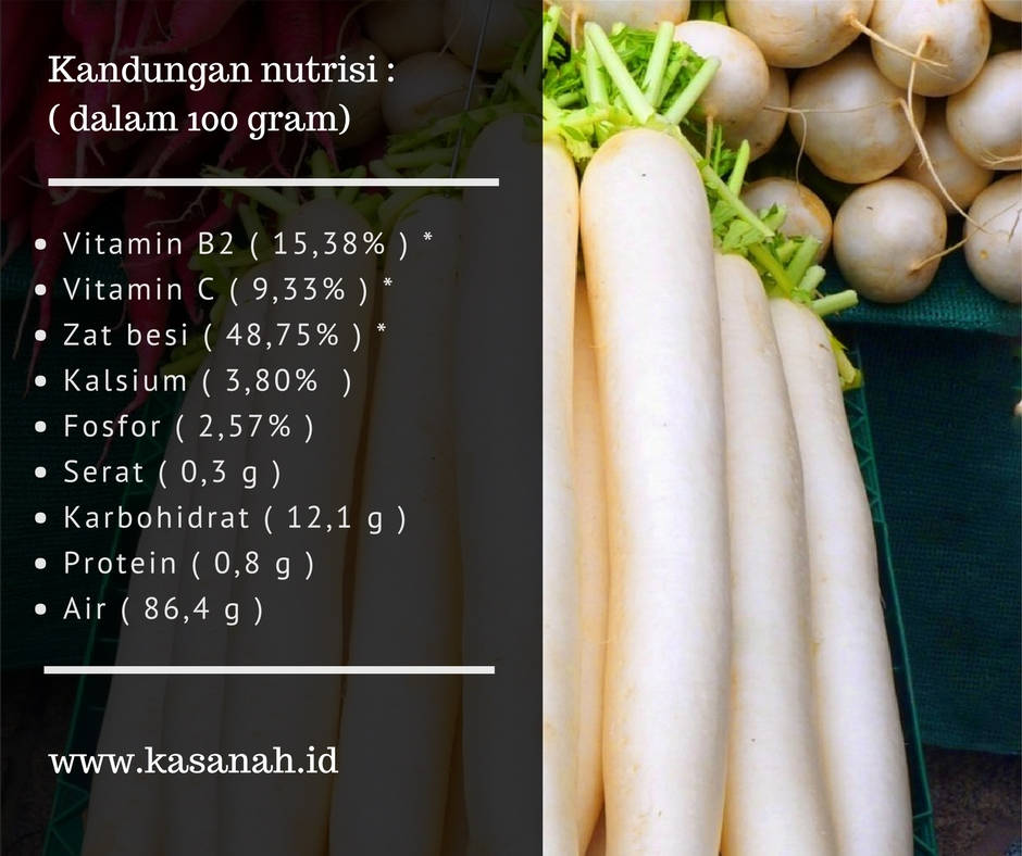 Mengenal memilih dan mengolah lobak