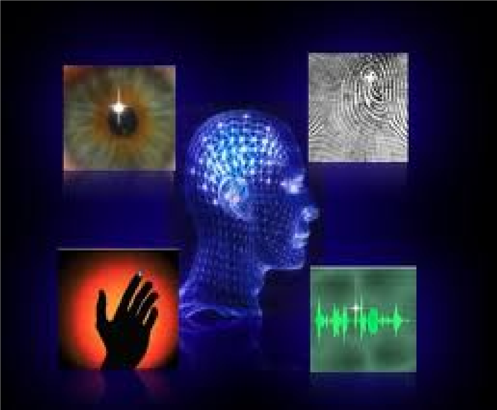 Biometrics (Types & Uses)