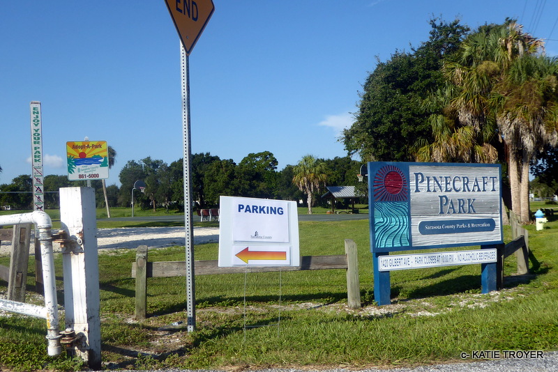 PinecraftSarasota National Public Lands Day