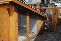 bend coops chicken betty meet