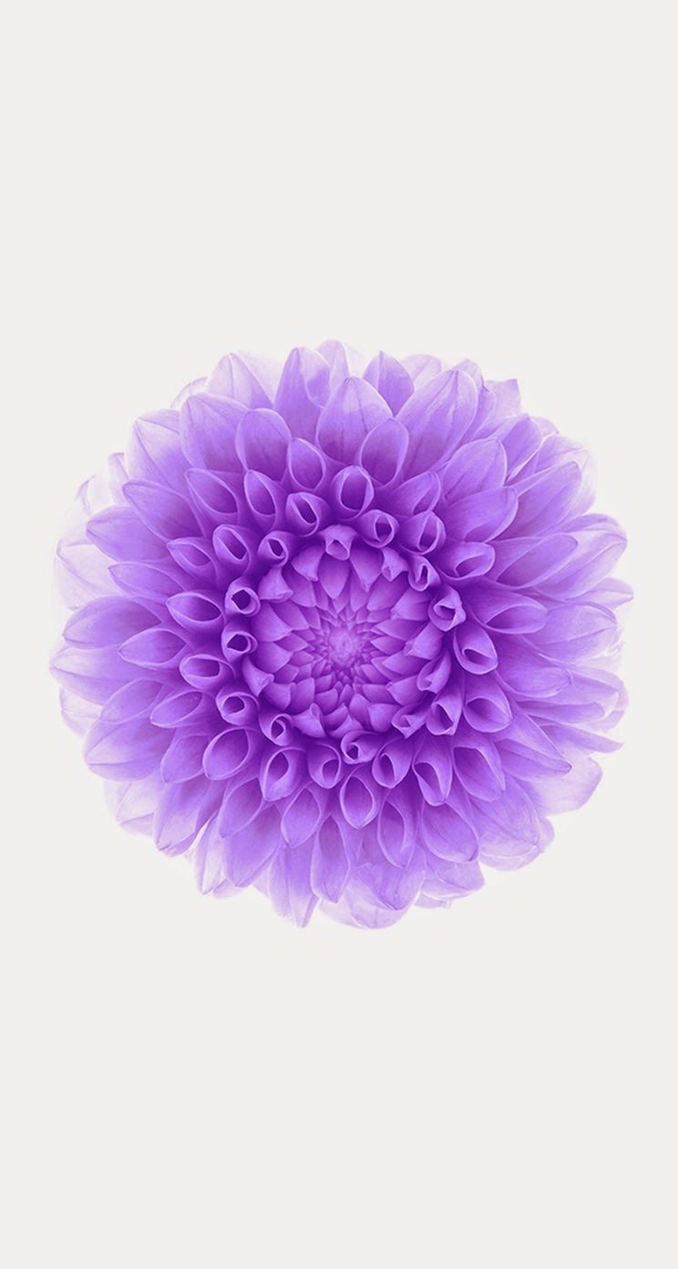 Descarga los fondos de pantalla del iPhone 6 - El blog de David