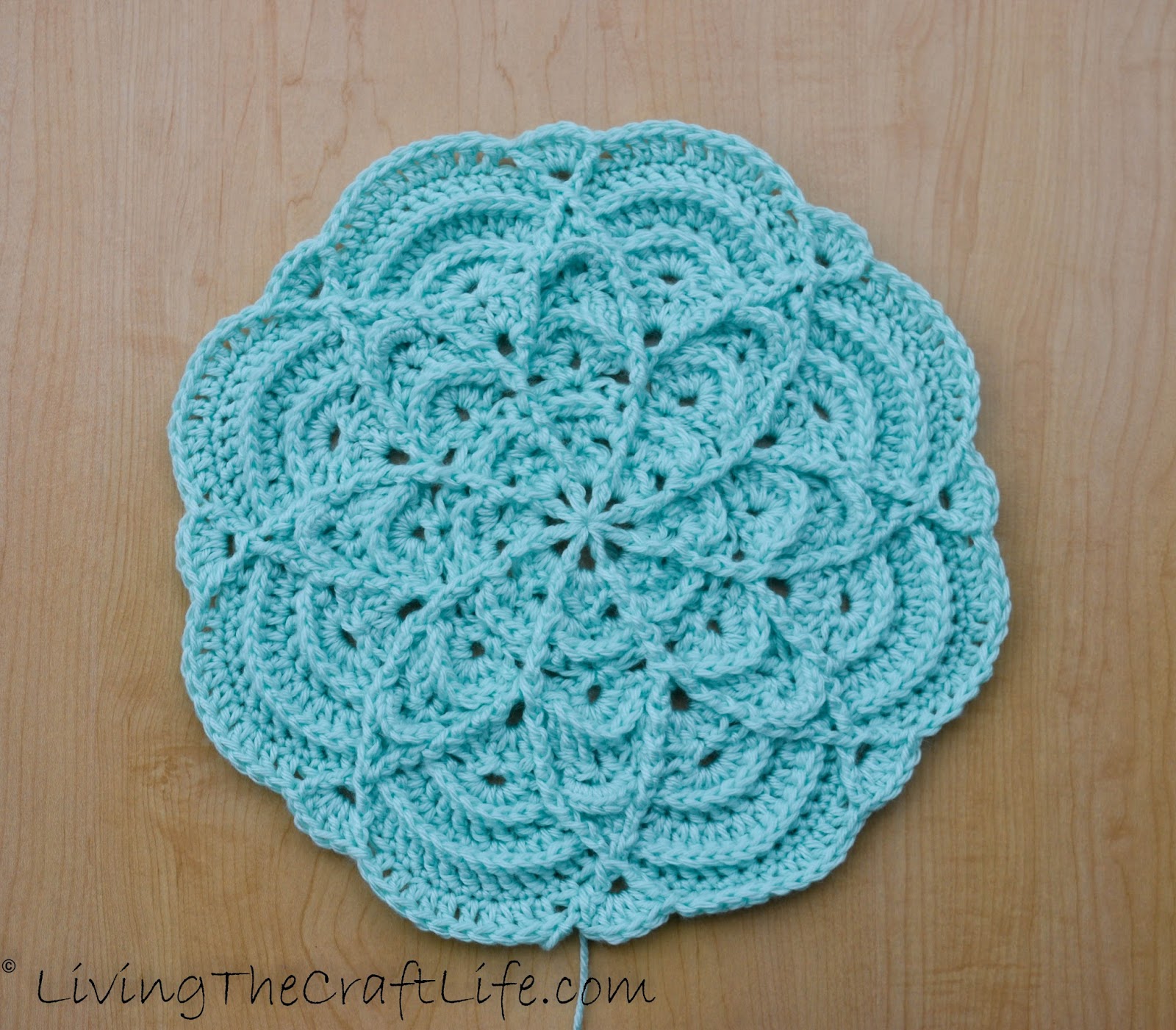 Living the Craft Life Flower Puddles Blanket Pattern Review