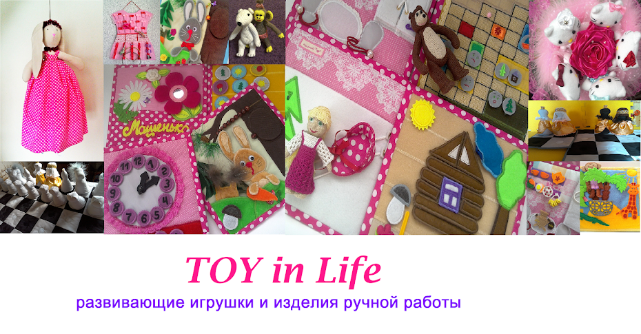 TOY in Life 