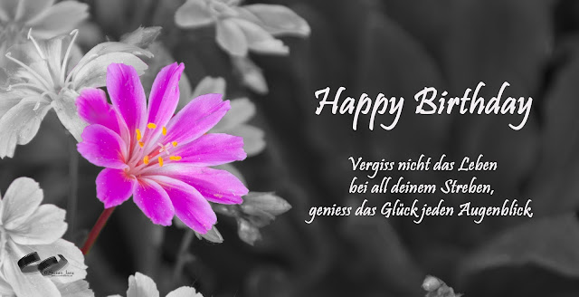 Geburtstagswünsche - Geburtstagssprüche - Geburtstagsgrüße