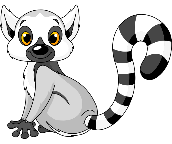 Ringtail Lemur