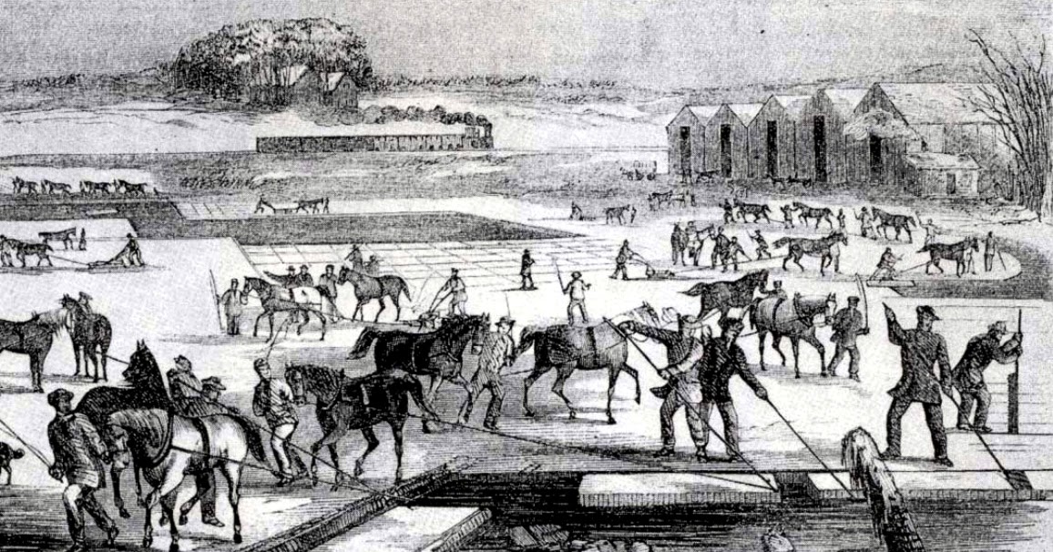 写真少年漂流記 ソロー 森の生活 ウォールデン に繋がるかき氷の旗