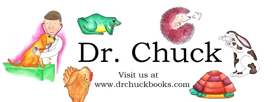 Dr. Chuck