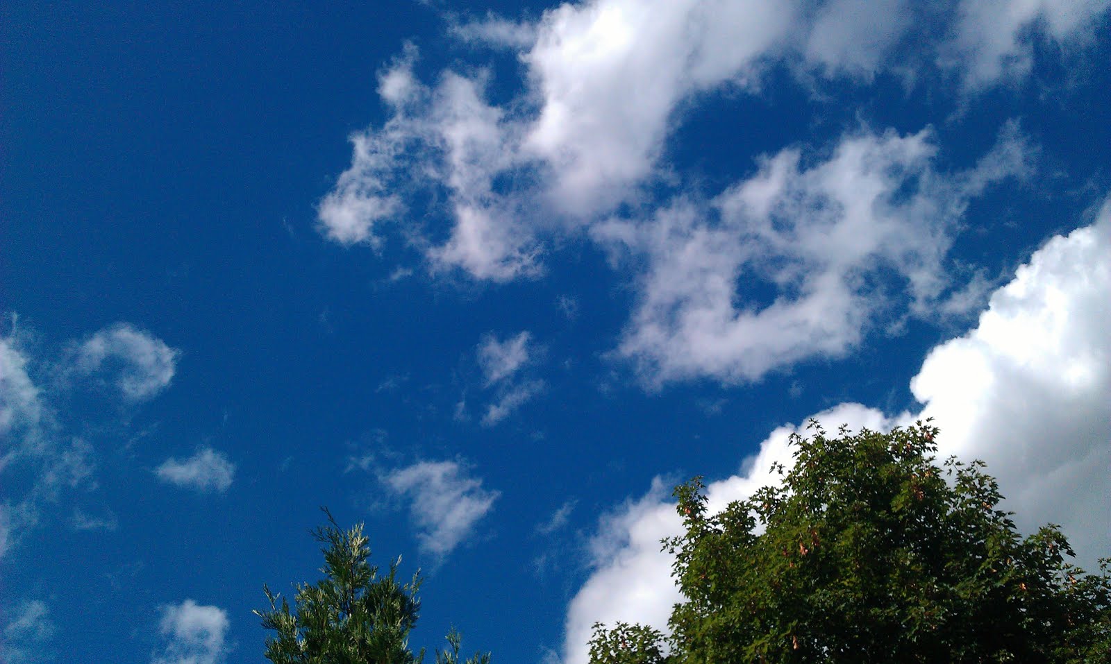 Blue Summertime Sky!