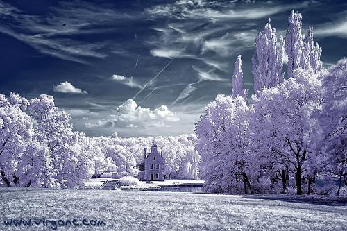 Ice World Ice World