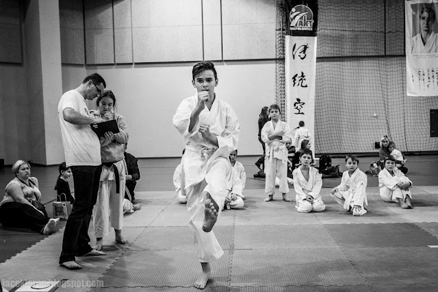 Turniej Mikołajkowy, karate tradycyjne, jacek taran, tauron arena, zdjecia