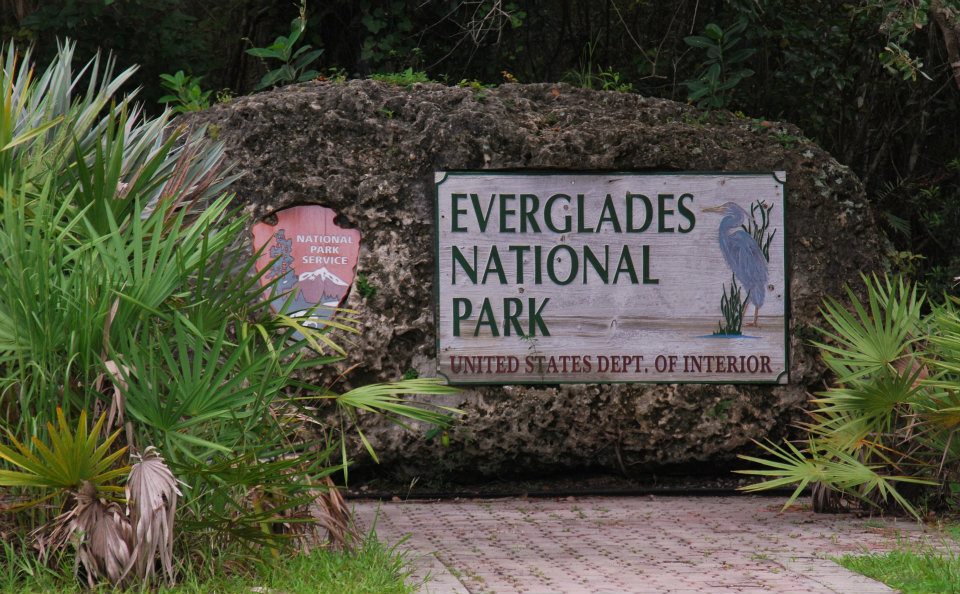 Trips 'n Toys Junior Ranger Trifecta at Everglades National Park