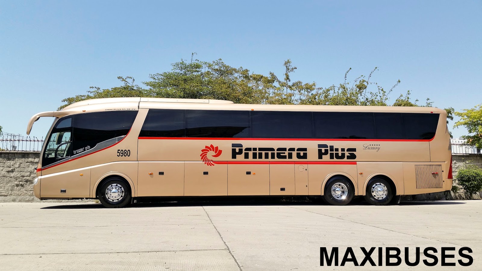 MAXIBUSES PRIMERA PLUS
