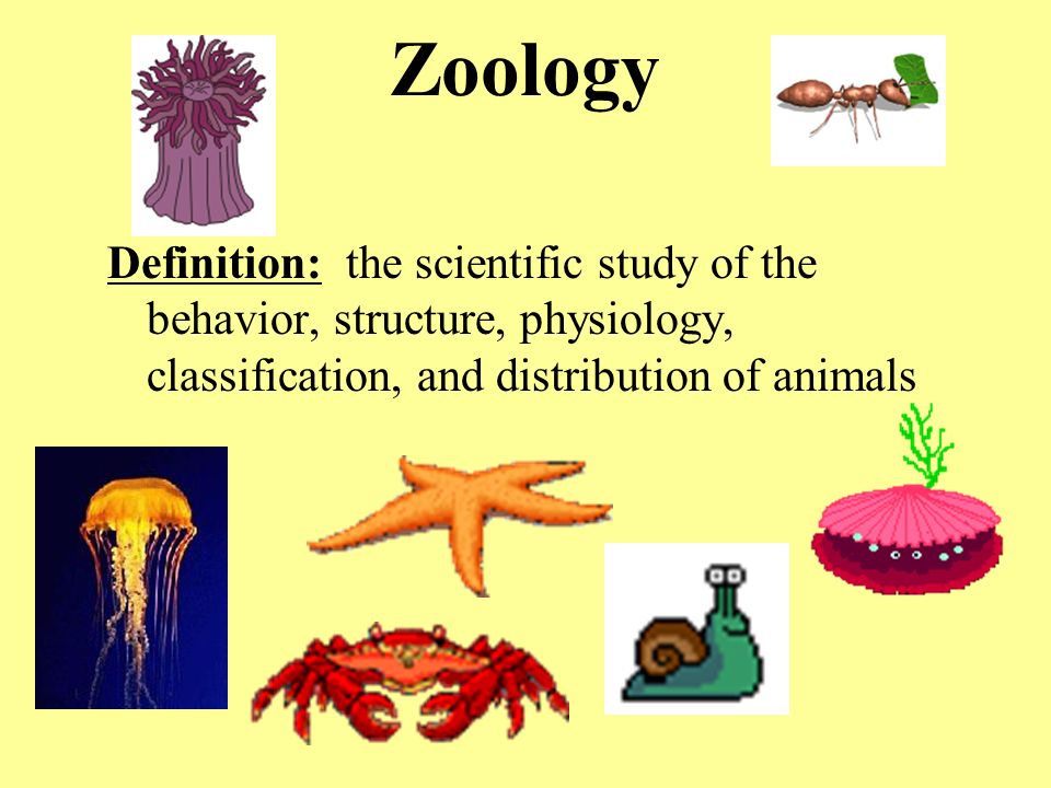 Zoology