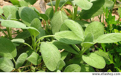 HISTORIA,LEYENDAS Y FENÓMENOS DE SEVILLA