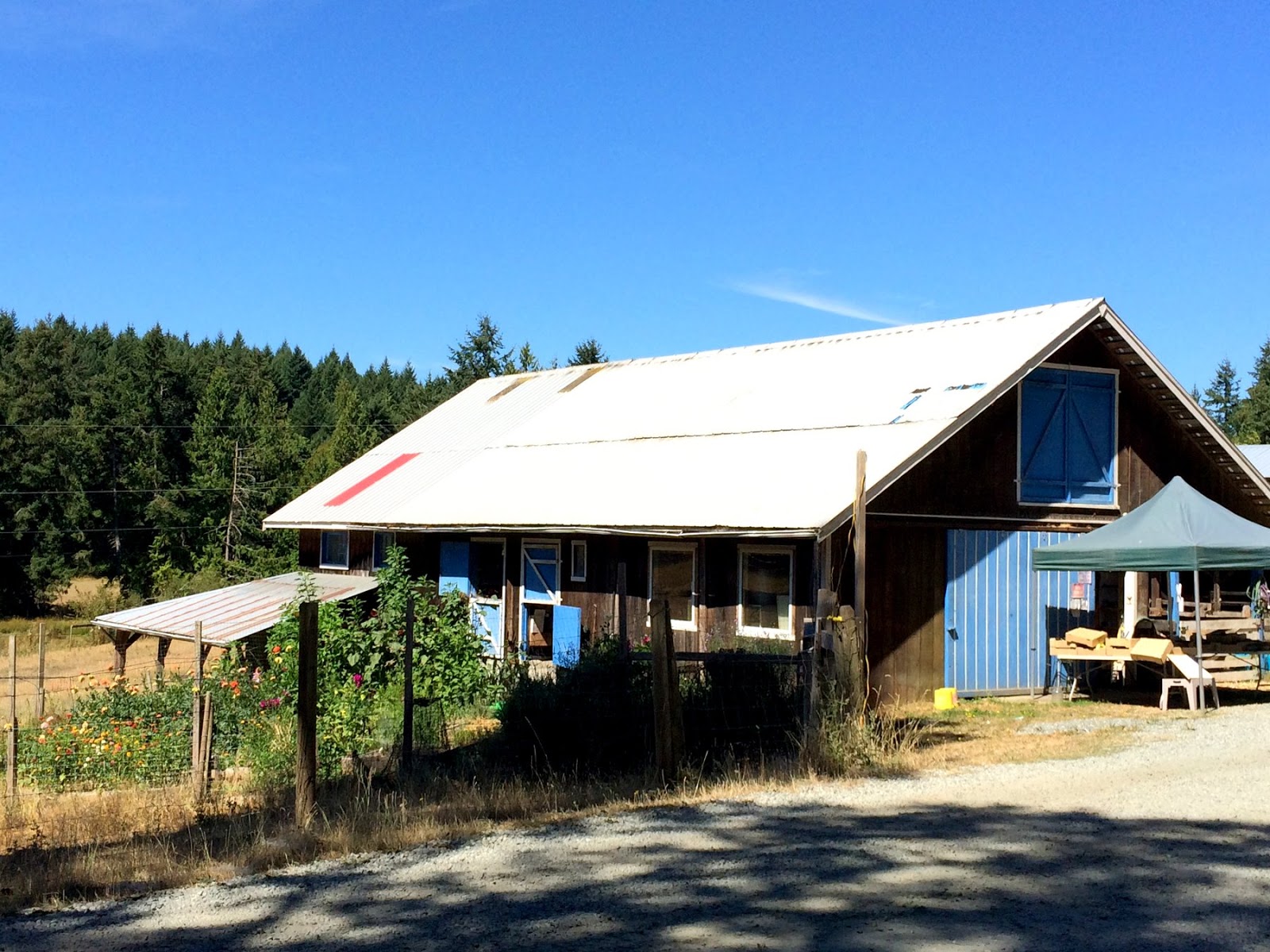 hshipman Saltspring Island