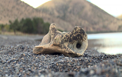 Microplásticos amenazan al Lago Sevan