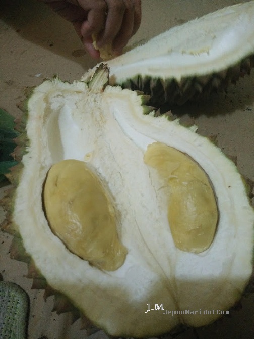 Hantu durian
