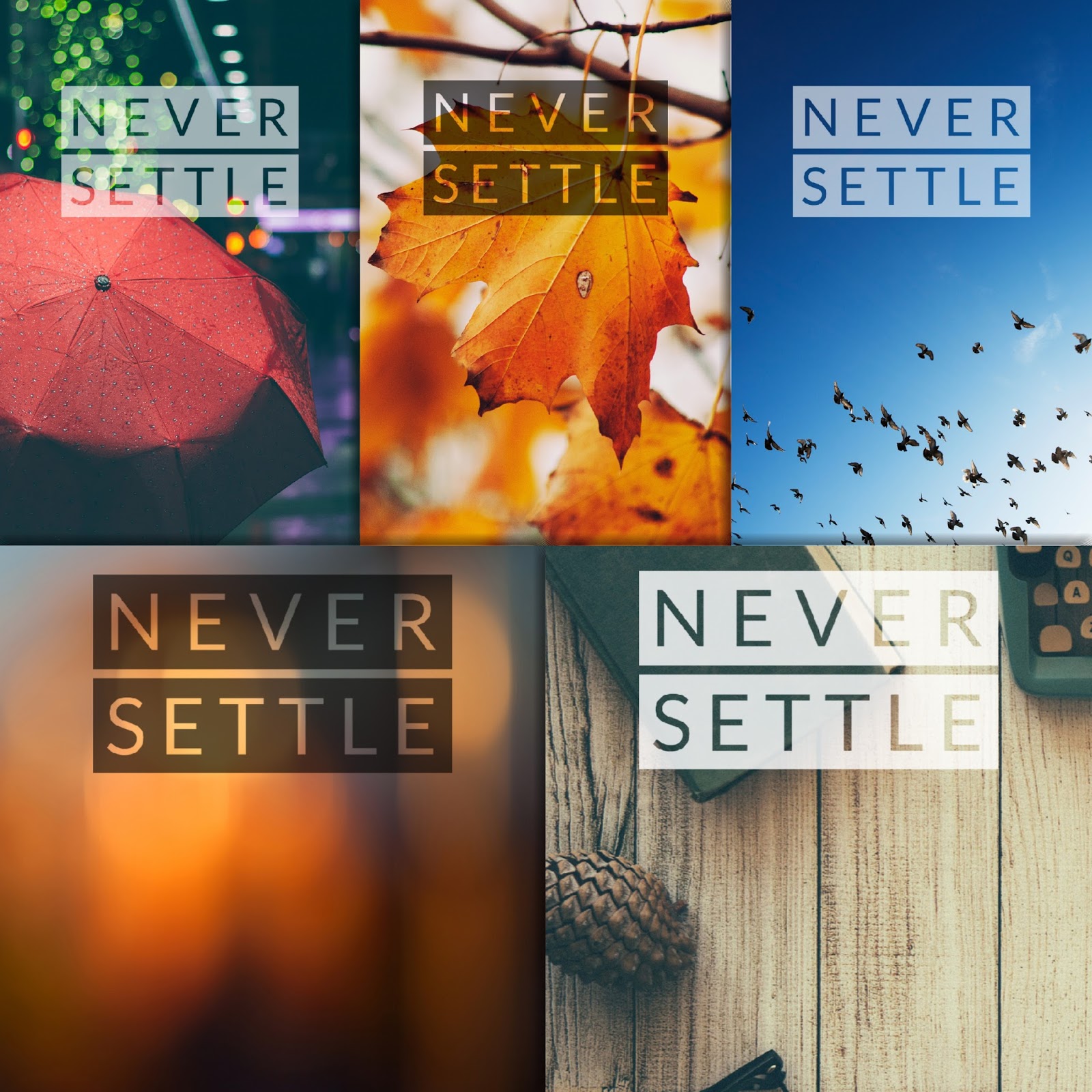 List 100+ Wallpaper Wallpapers Youll Never See Again Updated