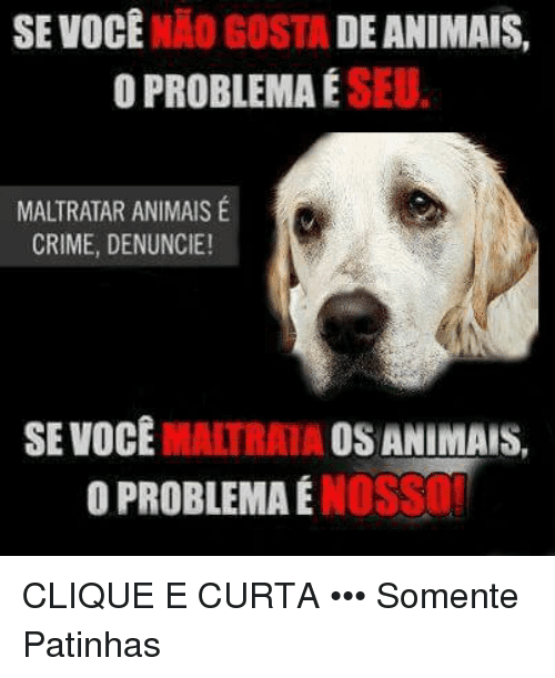 Em defesa dos nossos amiguinhos