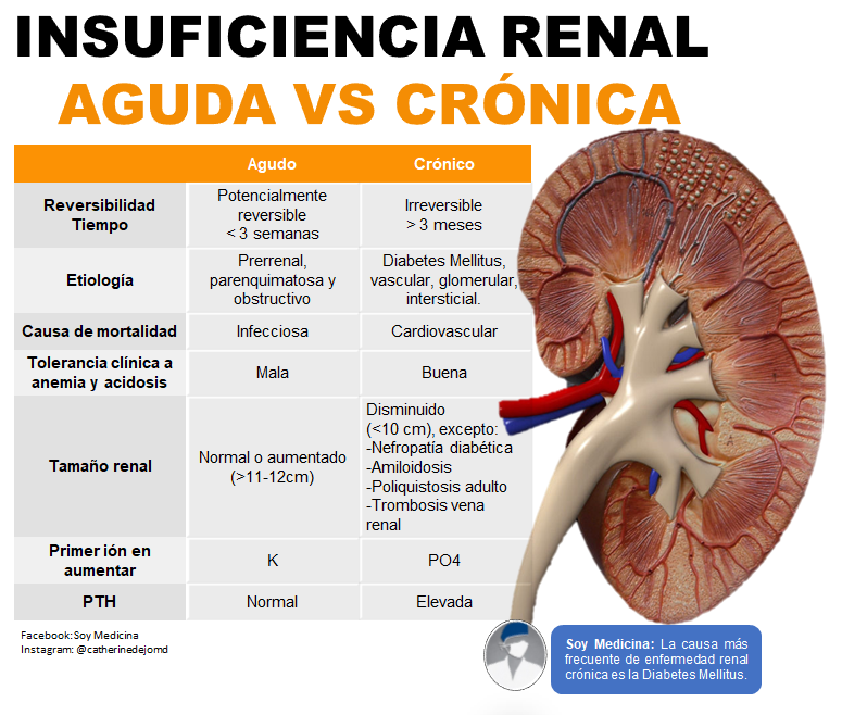 Enfermedad renal crónica