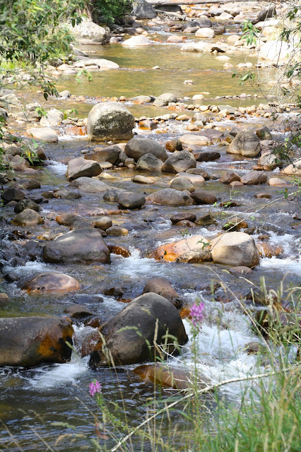 Delatite River at Mirimbah Park