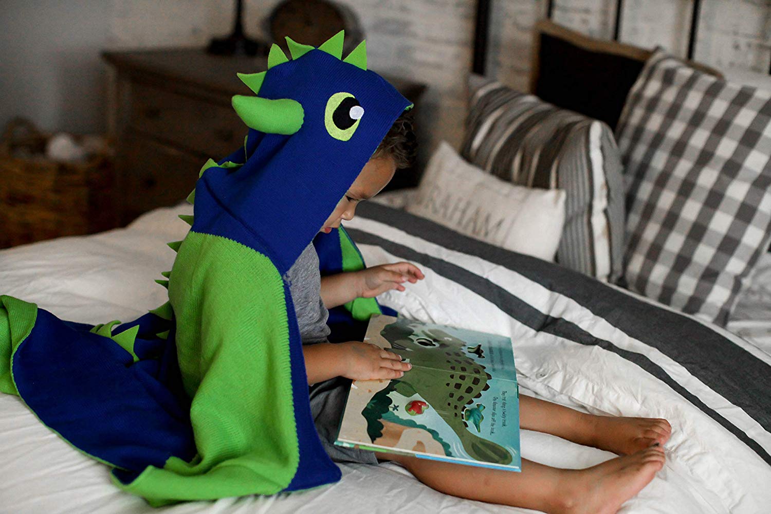 Real Friends Club ===== Dinosaur Blanket for Kids Dinosaur Toy