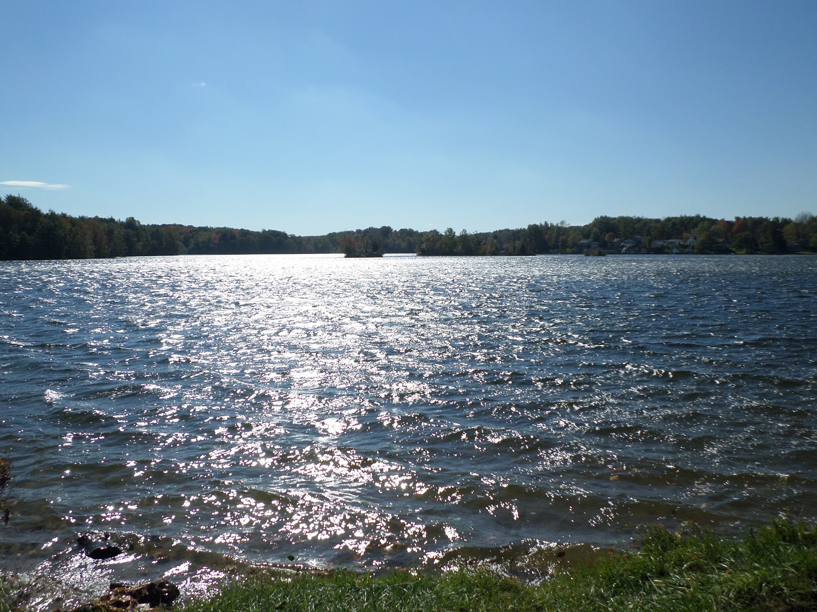 Mitten Tracks Murphy Lake State Game Area, part one Swaffer Rd. to