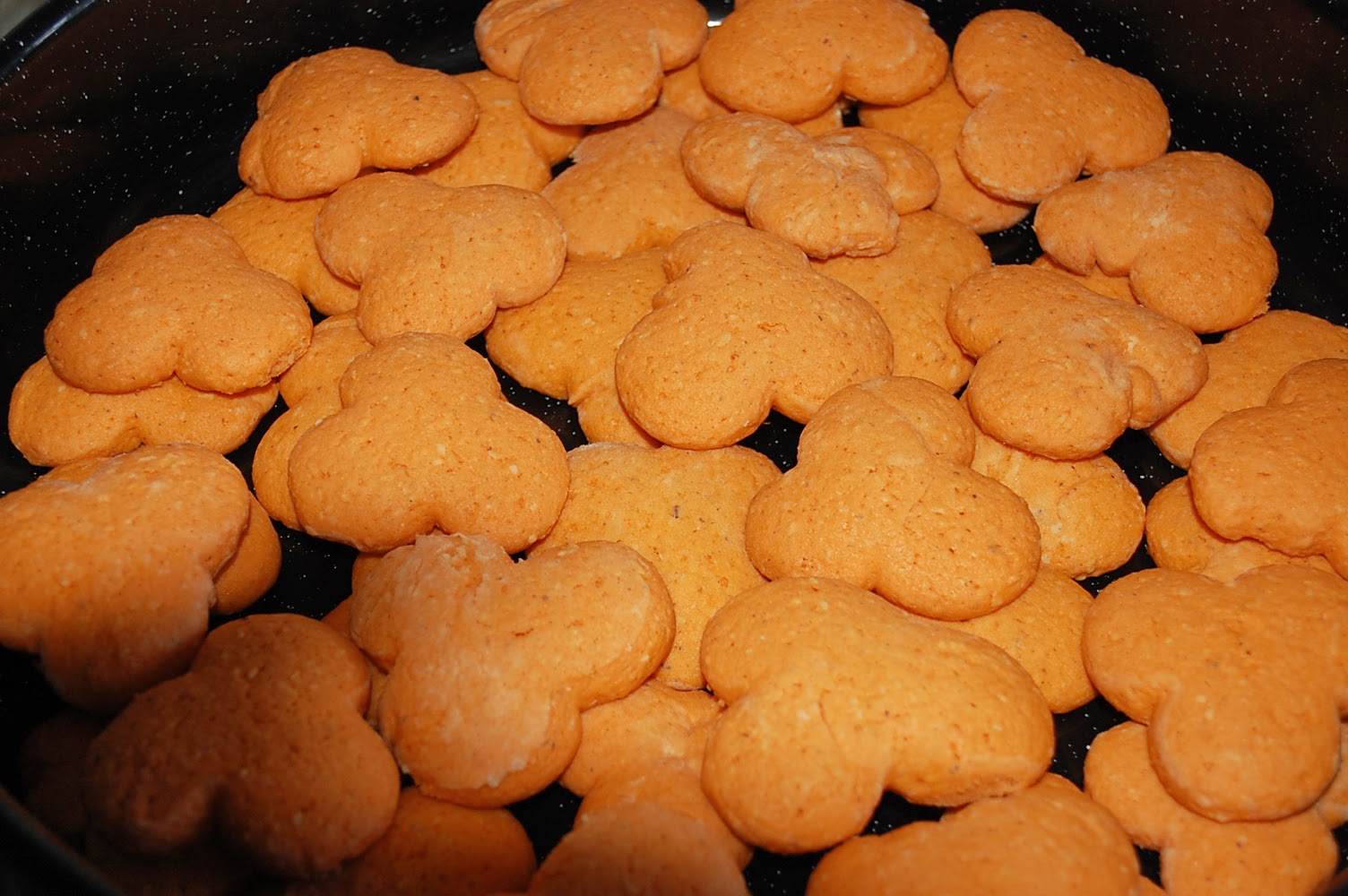 Wunderlander-Kochen und Backen mit Bildern : Kekse backen leicht gemacht