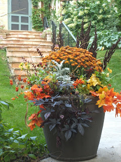Container Gardens