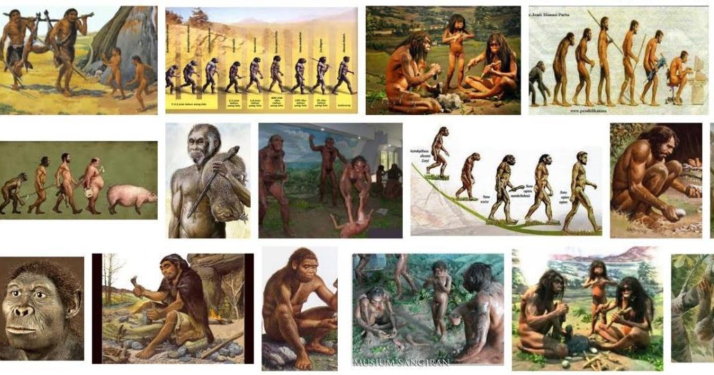 30 Soal Pilihan Ganda Tentang Zaman Pra Aksara Jawaban Muttaqin Id