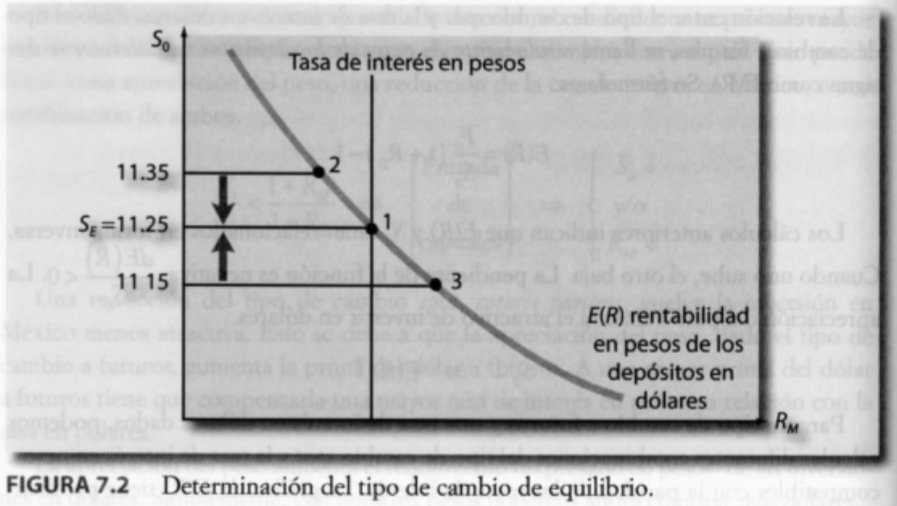 Sistema Financiero Internacional Paridad de las tasas de interés