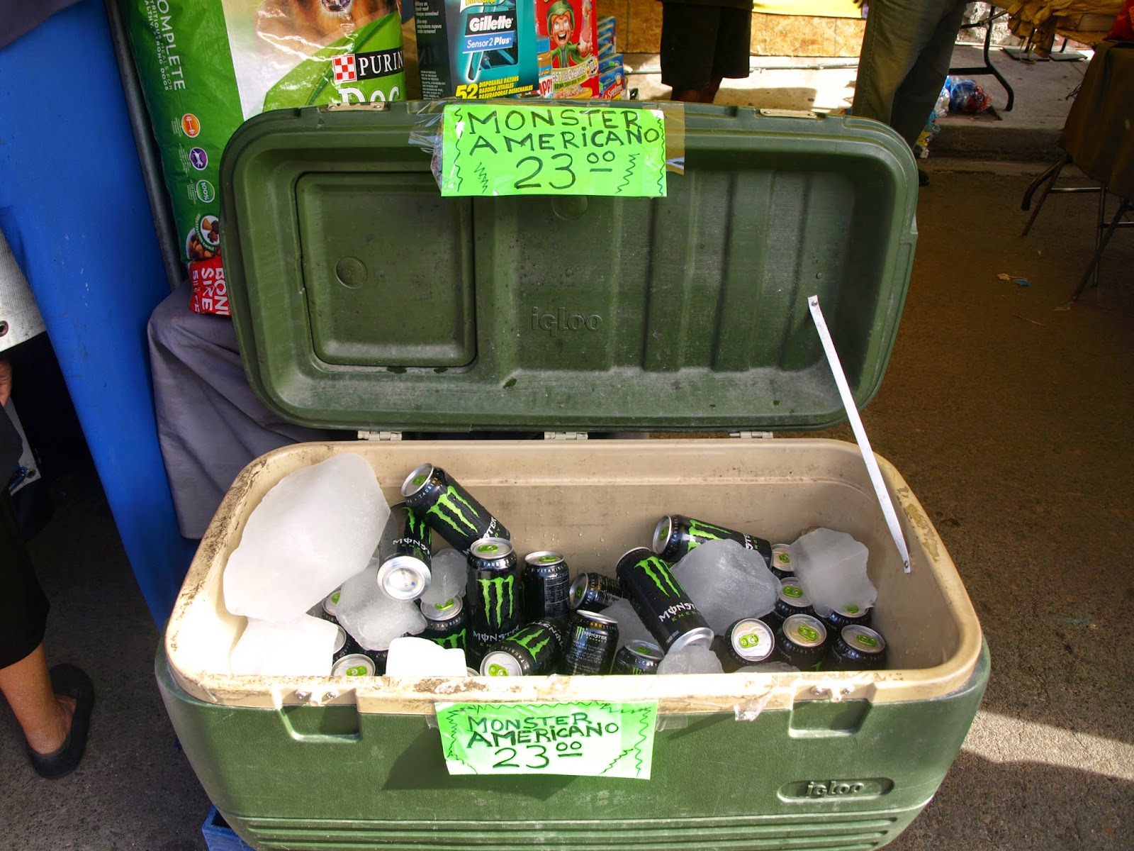 The Paper Tiger Myth Why Gulf Security Without US Bases Is a Geopolitical Suicide Note