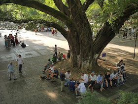People underneath a large tree at Ganzhou Park in Ganzhou