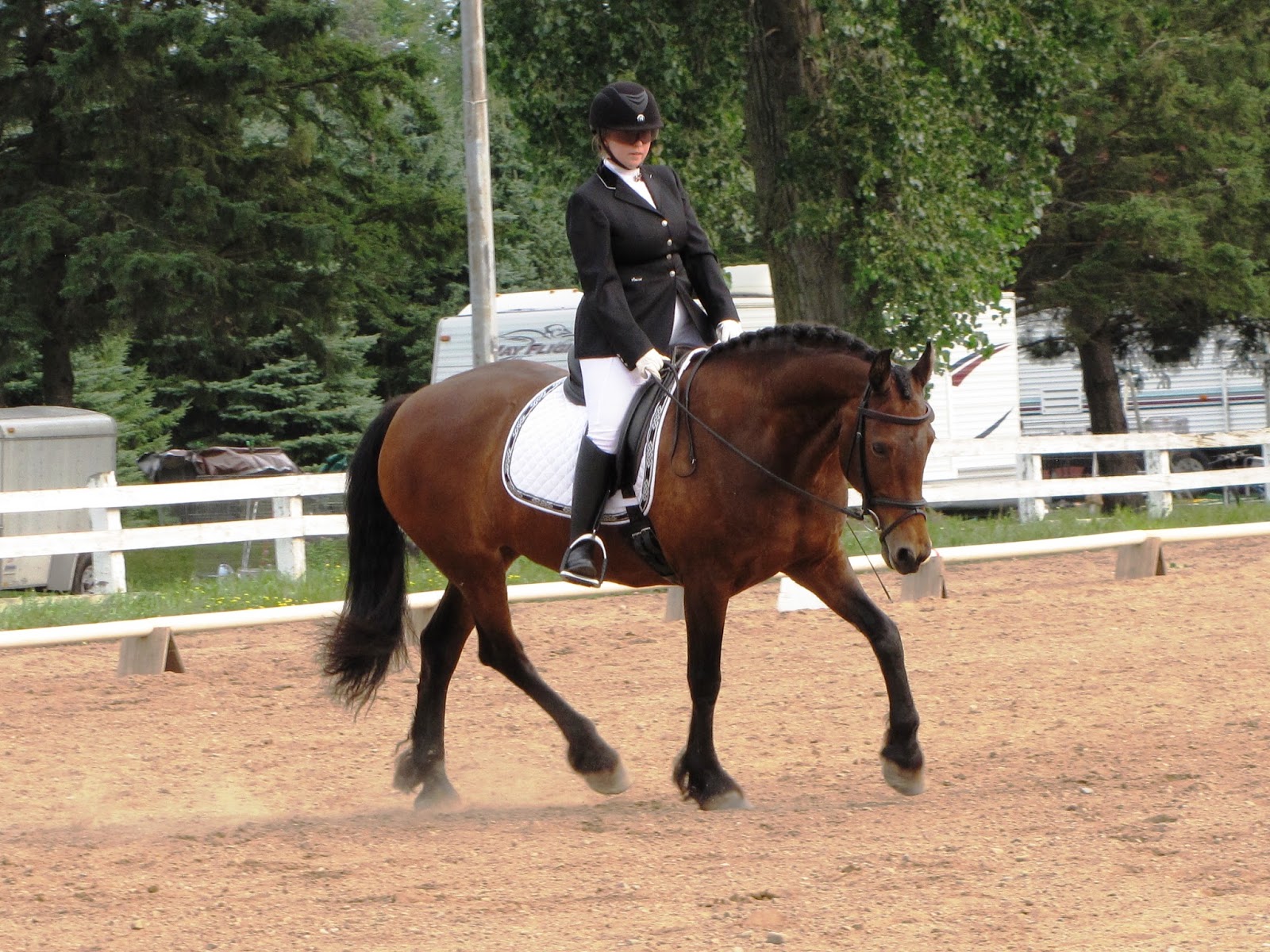 Horse Properties & Horse Keeping in Minnesota Dressage & Eventing