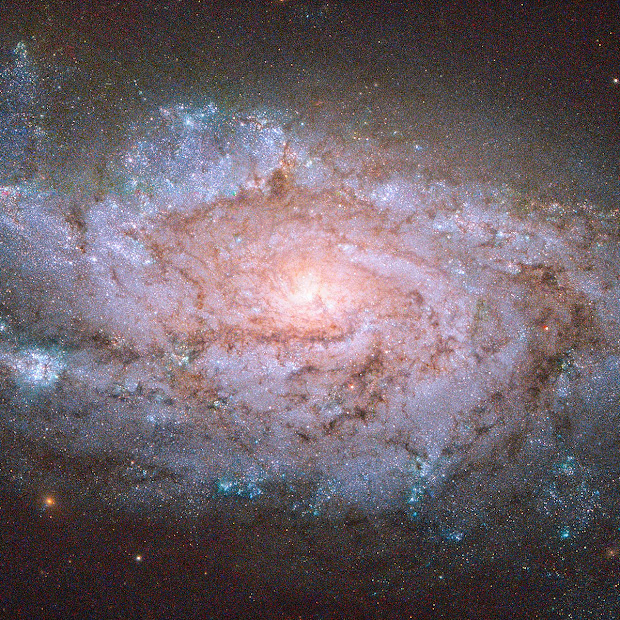 Spiral Galaxy NGC 1084
