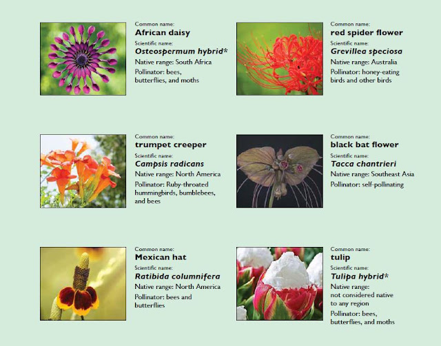 Voller Informationen zum Versandhandel! The Science Behind Fantastic Flowers Company – Peachtree Publishing