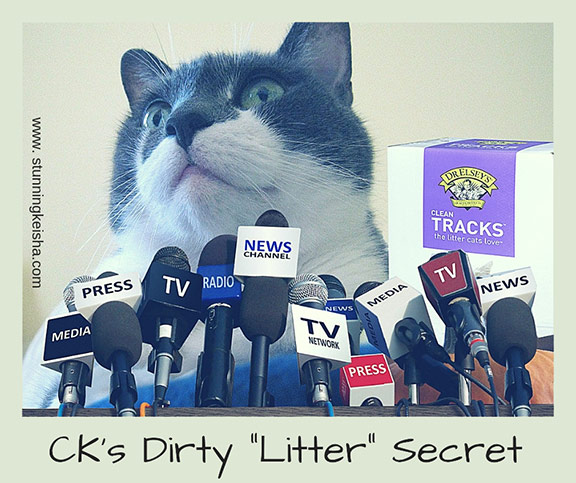 CK's Dirty "Litter" Secret #ChewyInfluencer