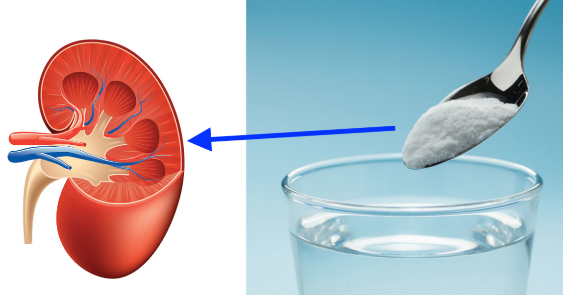 Repair The Kidneys With A Simple 1 Item