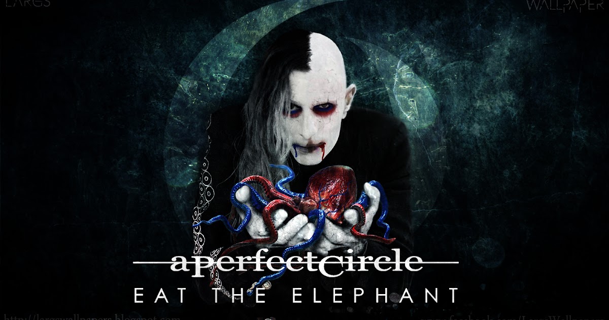 Largs Wallpapers 103° A PERFECT CIRCLE EAT THE ELEPHANT WALLPAPER